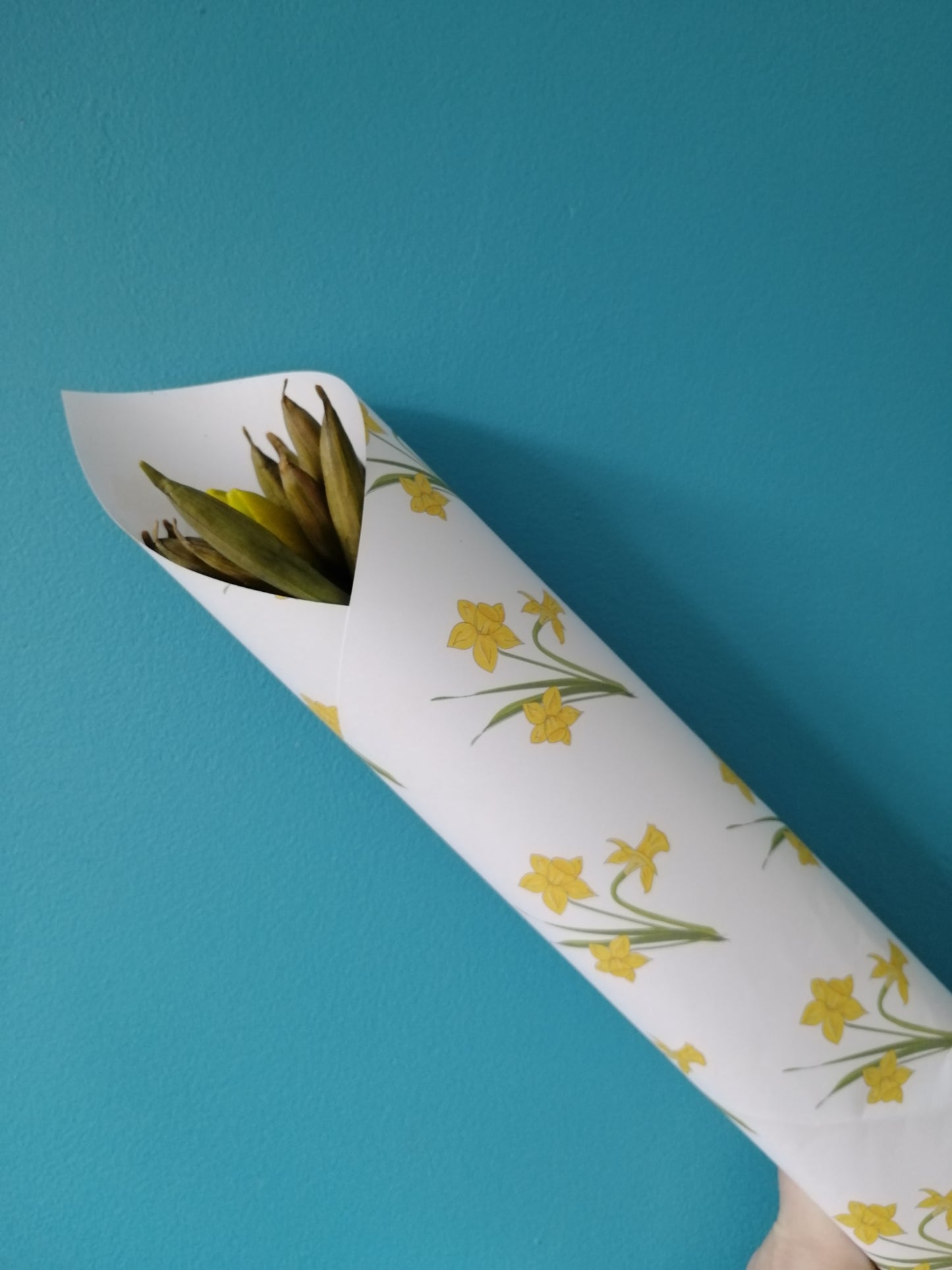 Daffodil Gift Wrap image 1