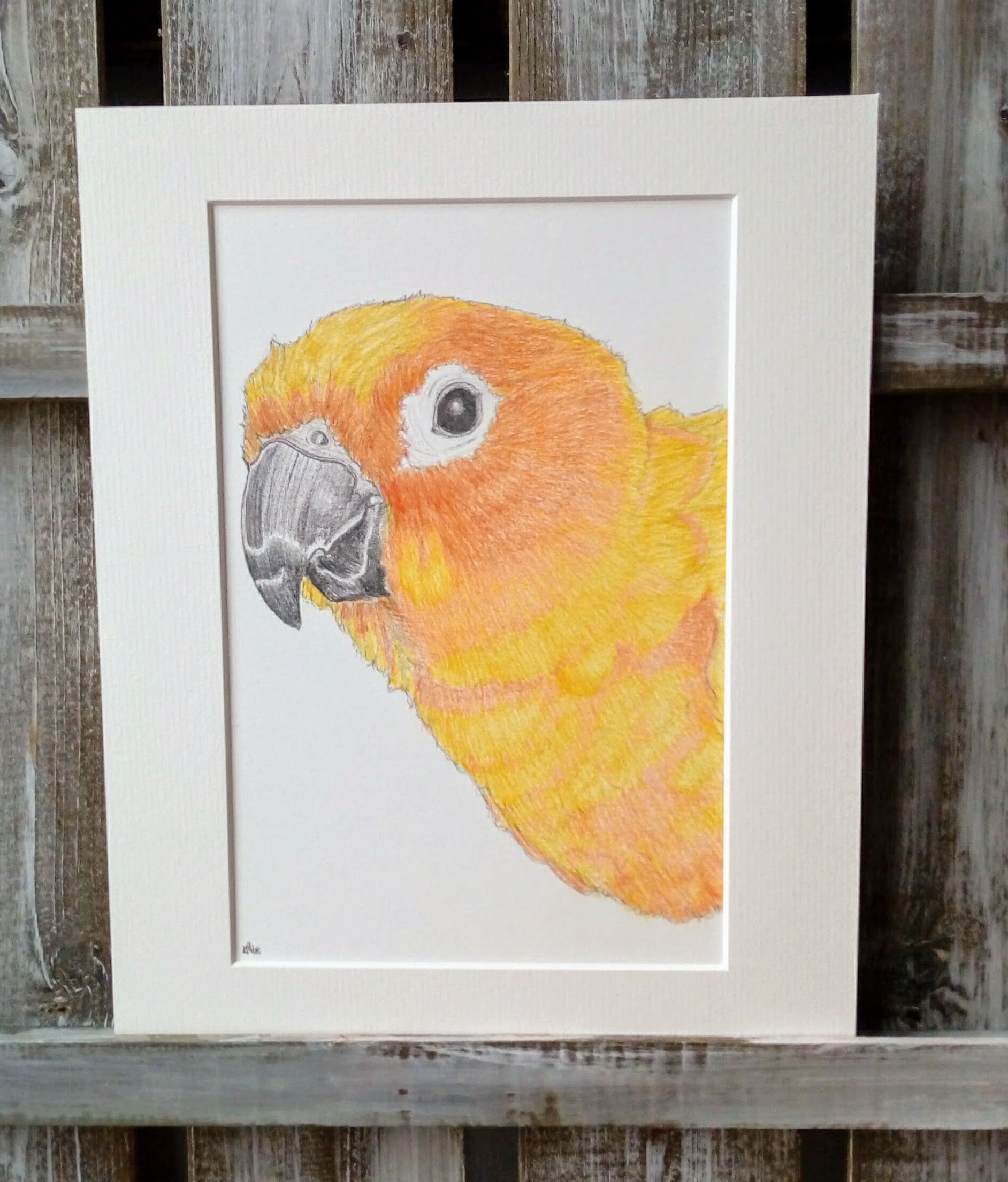 Pet Pencil Portraits image 2