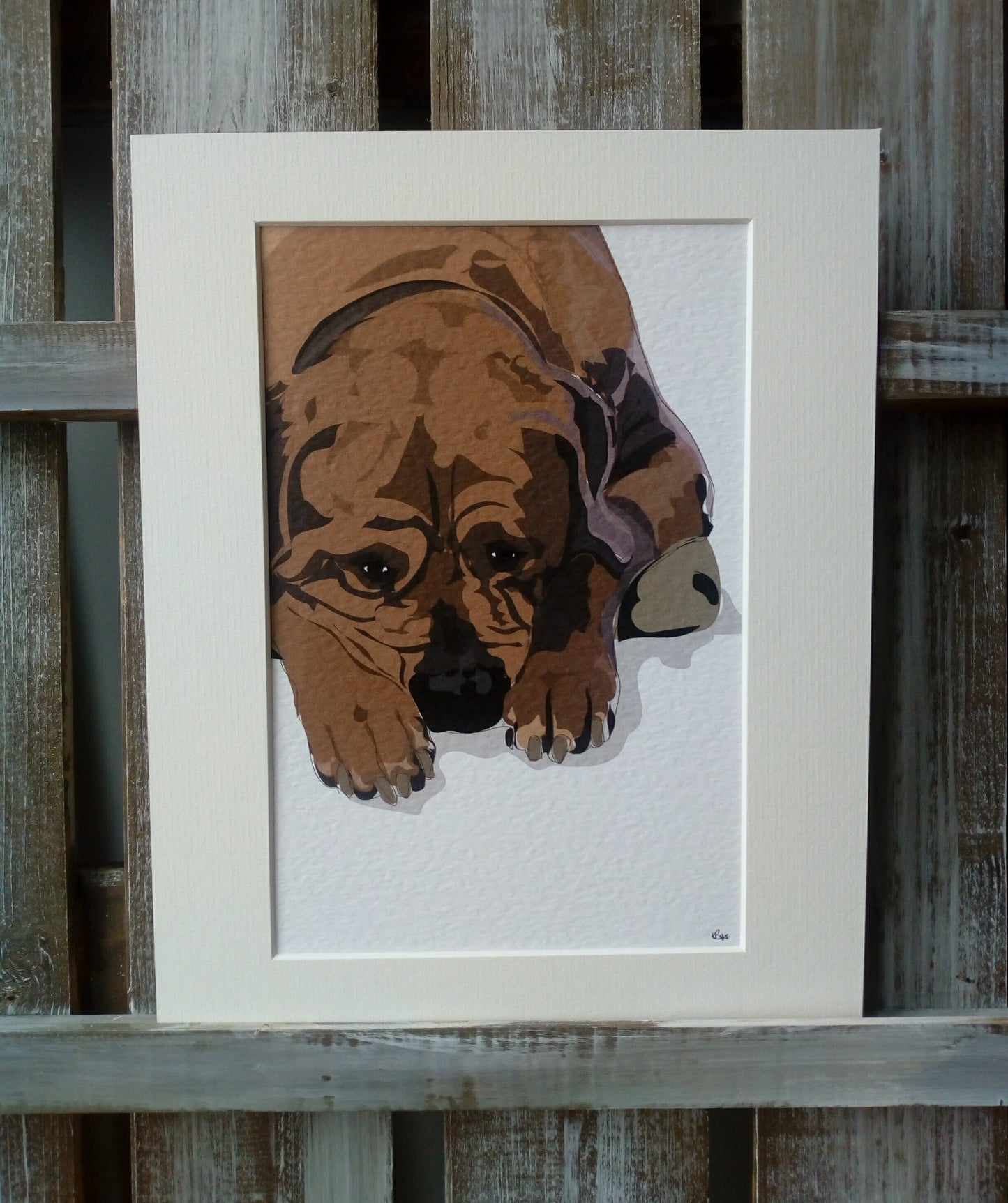 Pet Portraits - Printed image 10