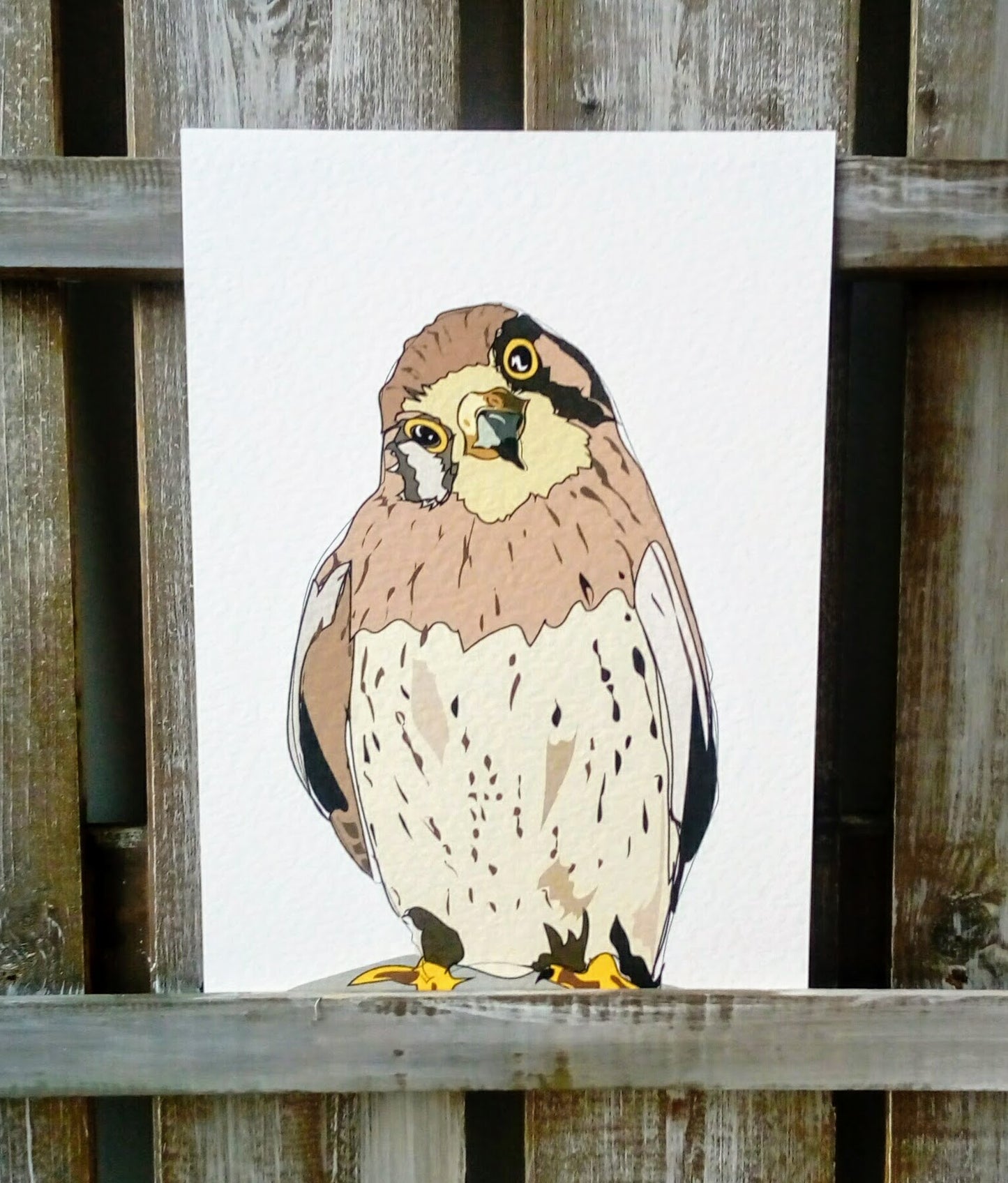 Pet Portraits - Printed image 7