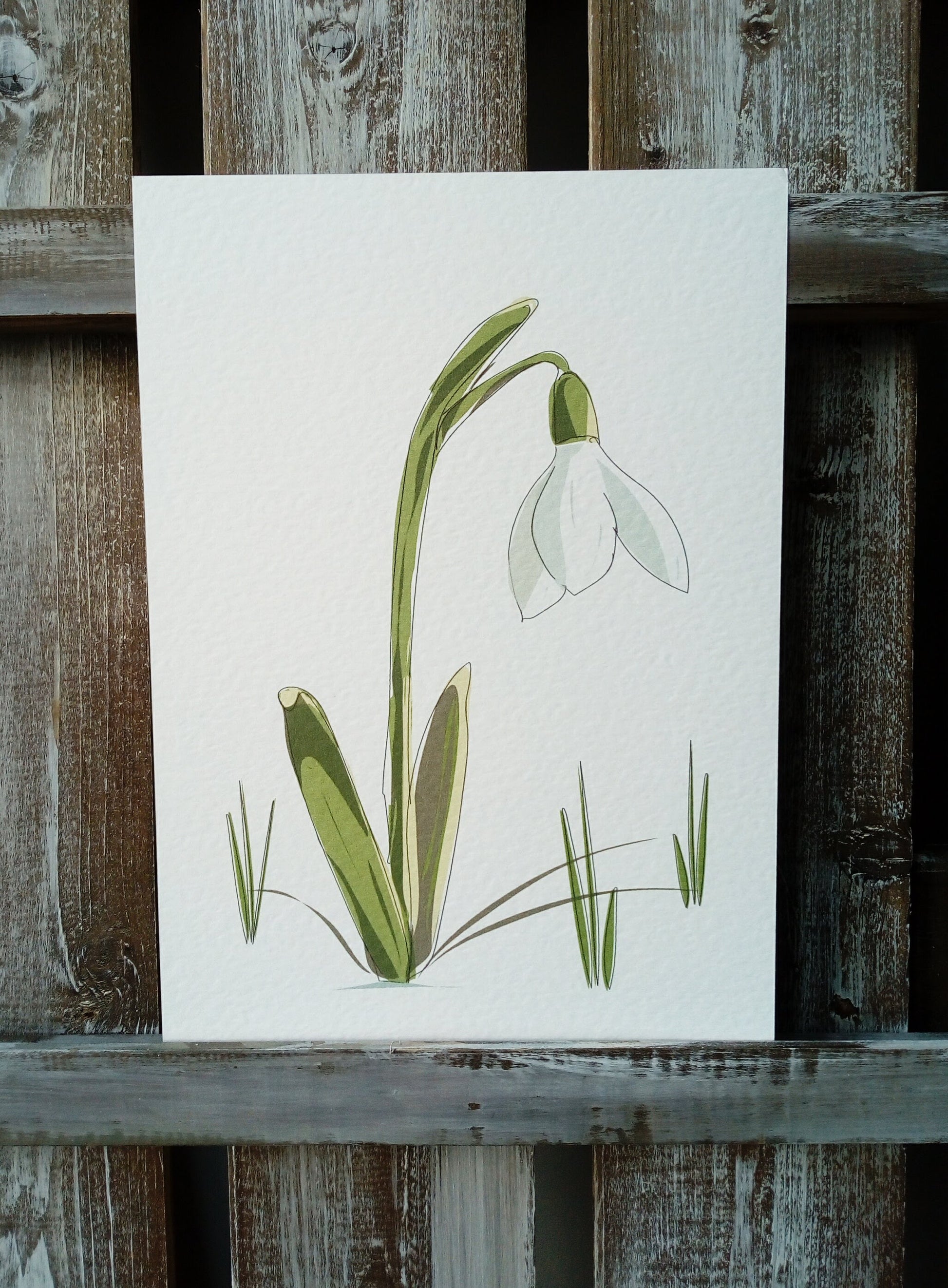Snowdrop card and print image 1
