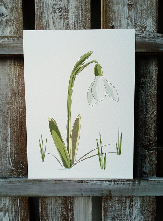 Snowdrop card and print image 1