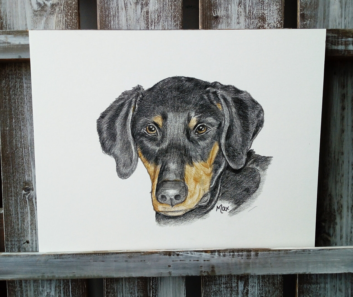 Pet Pencil Portraits image 11