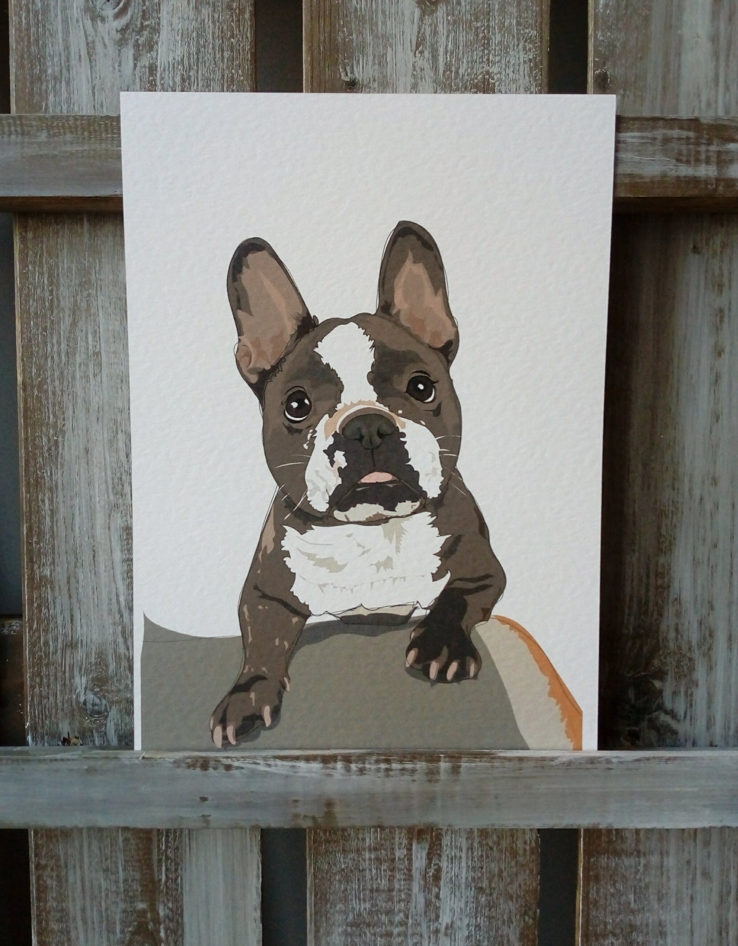 Pet Portraits - Printed image 11