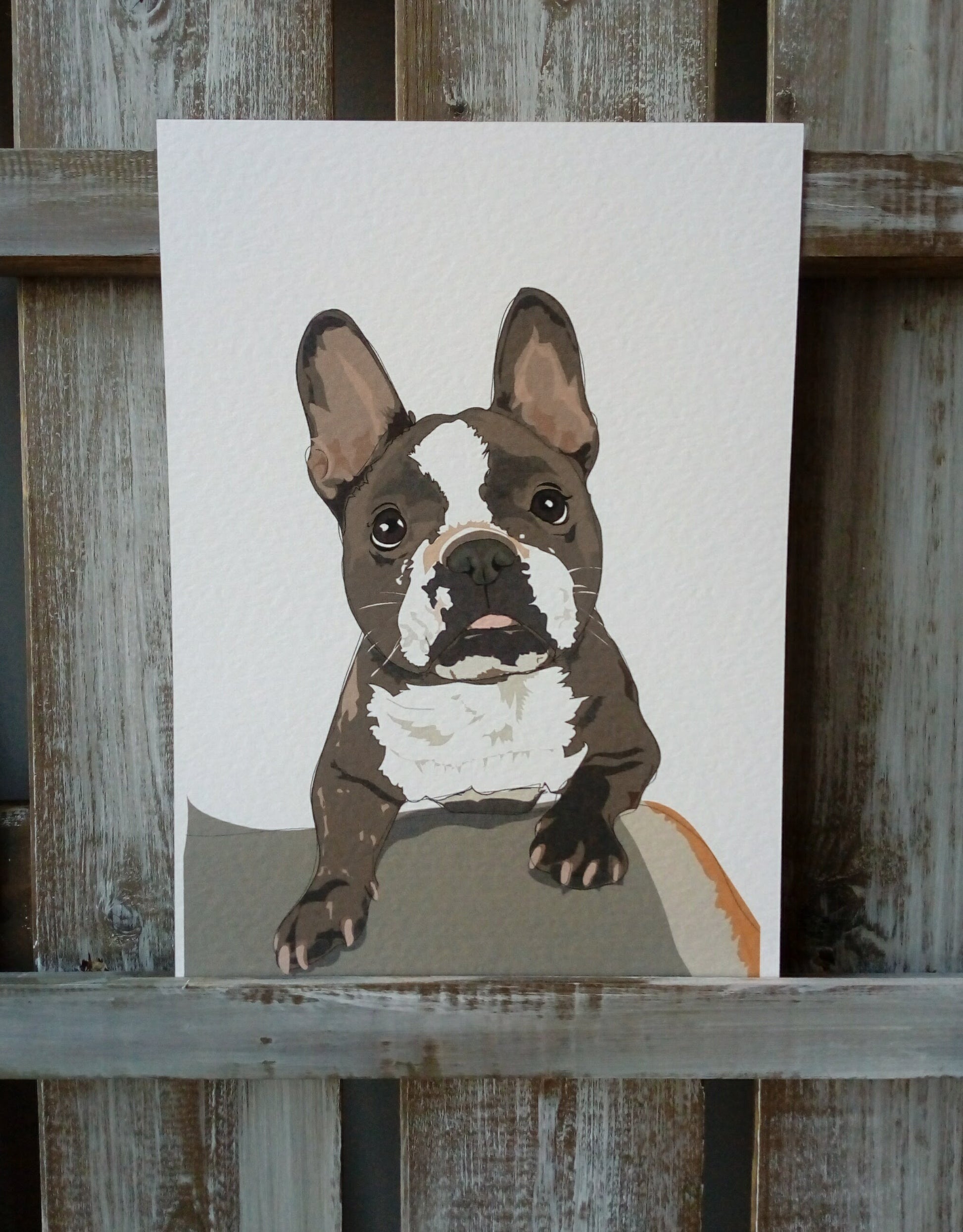 Pet Portraits - Printed image 11