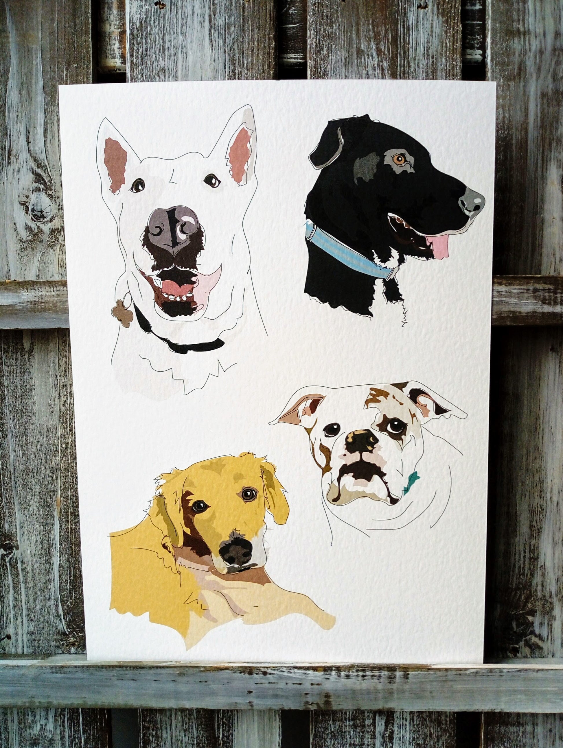 Pet Portraits - Printed image 12