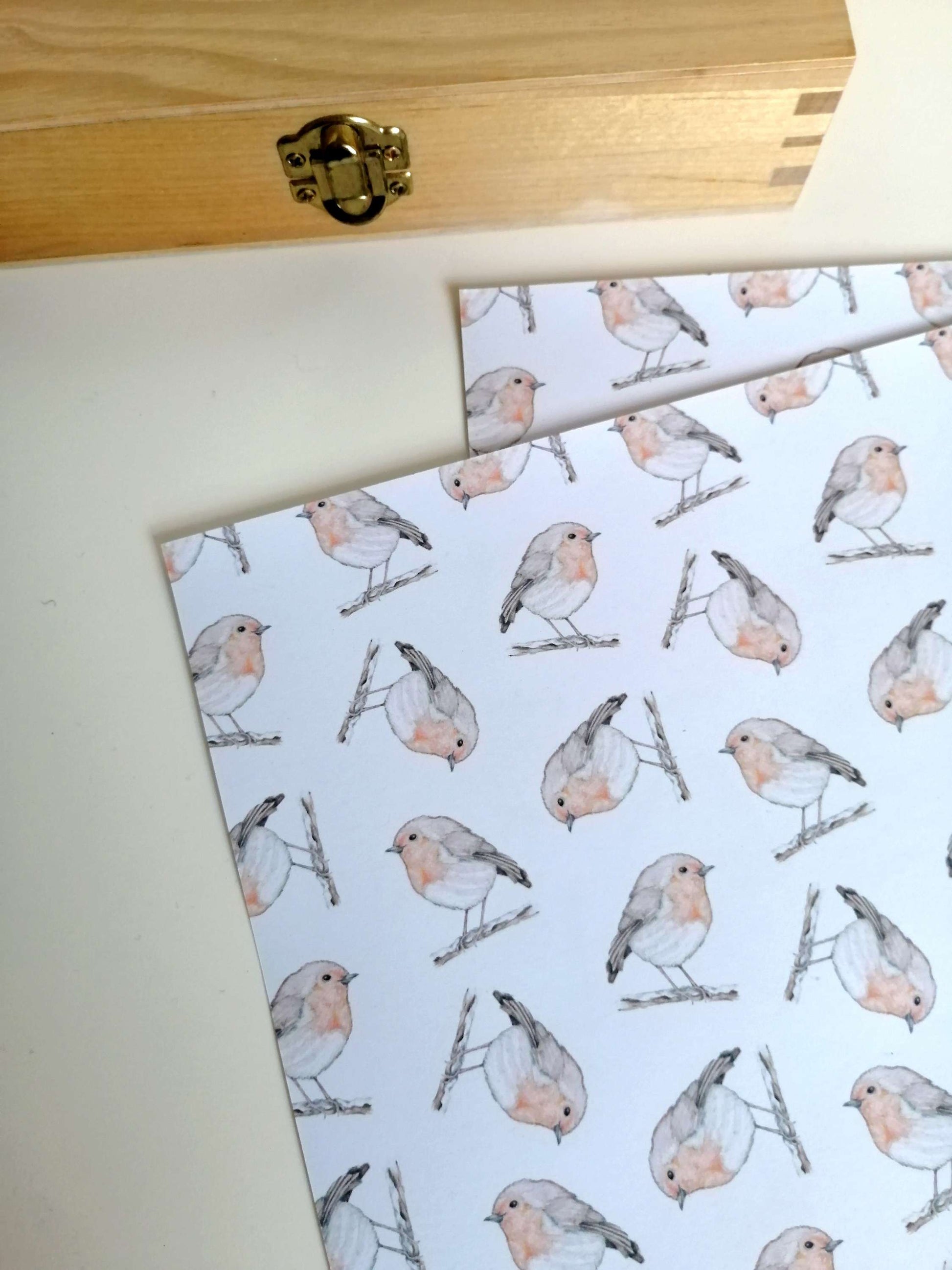 Robin Gift Wrap image 0