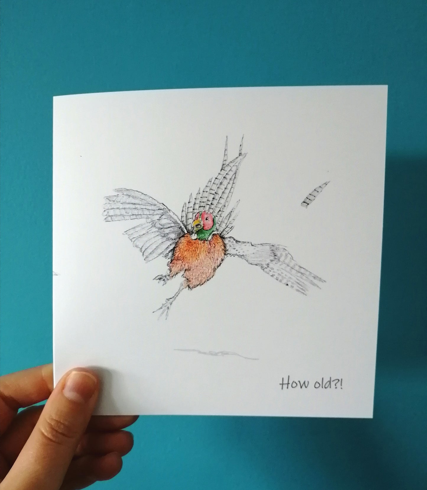 Pheasant How old?! Card image 0