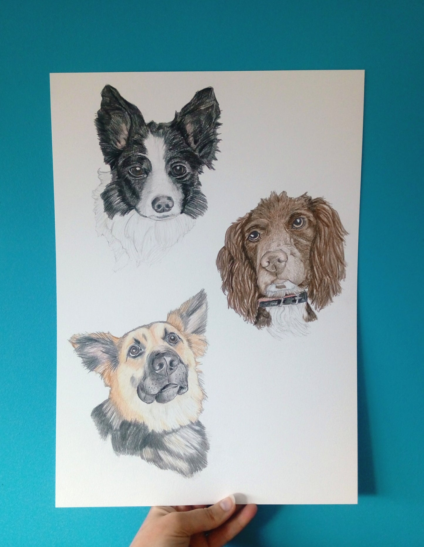 Pet Pencil Portraits image 14