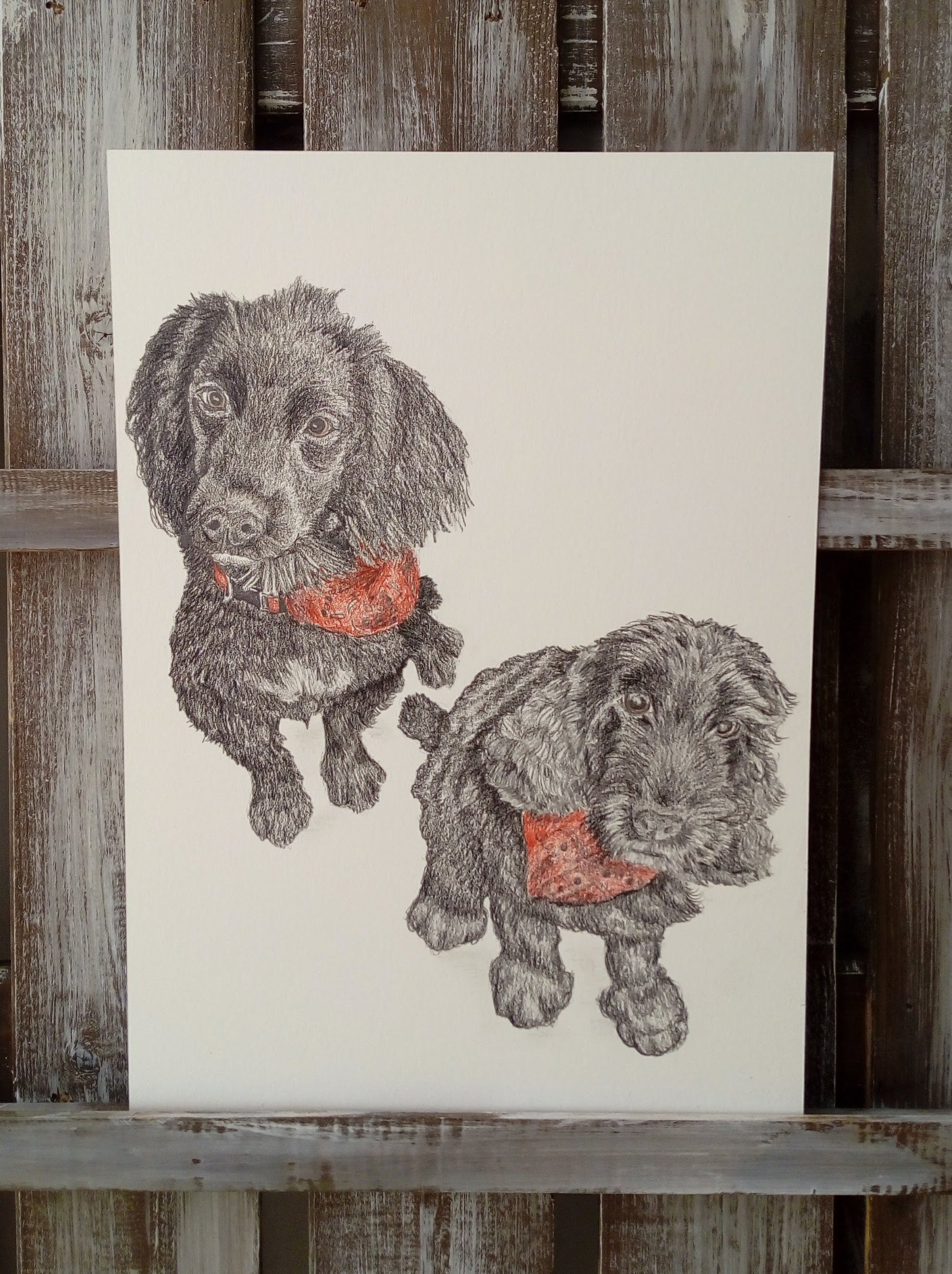 Pet Pencil Portraits image 5