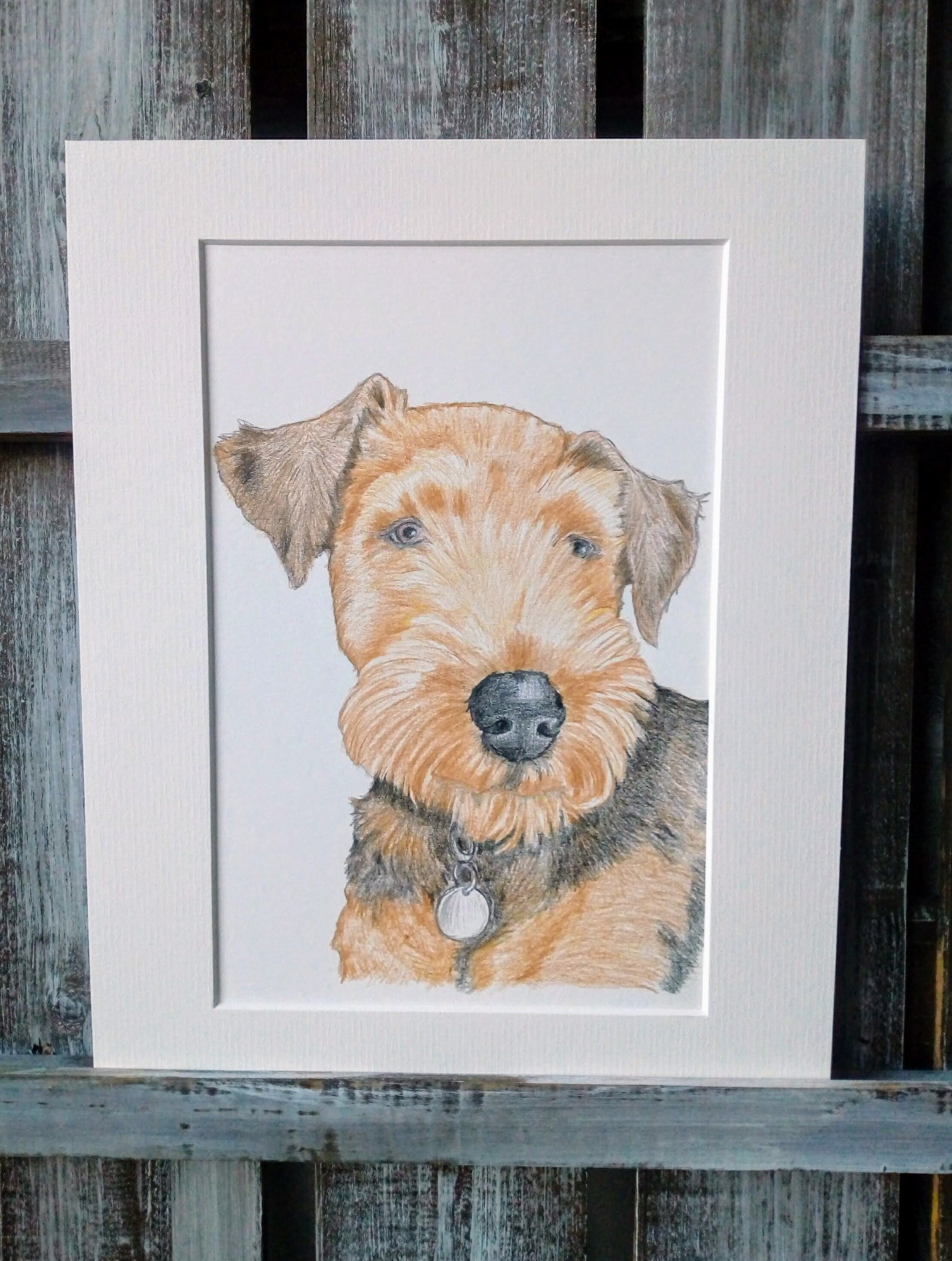 Pet Pencil Portraits image 3