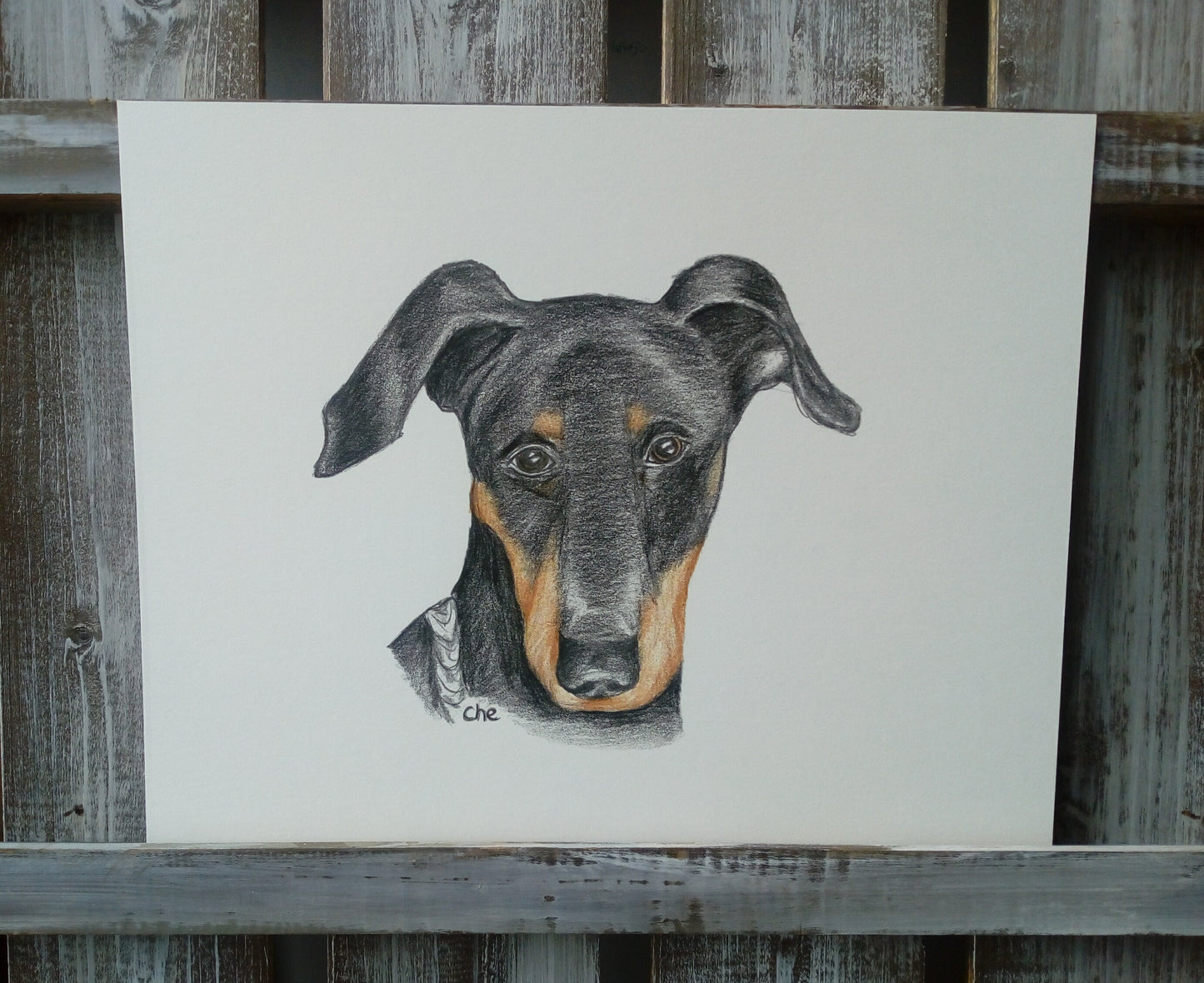 Pet Pencil Portraits image 8