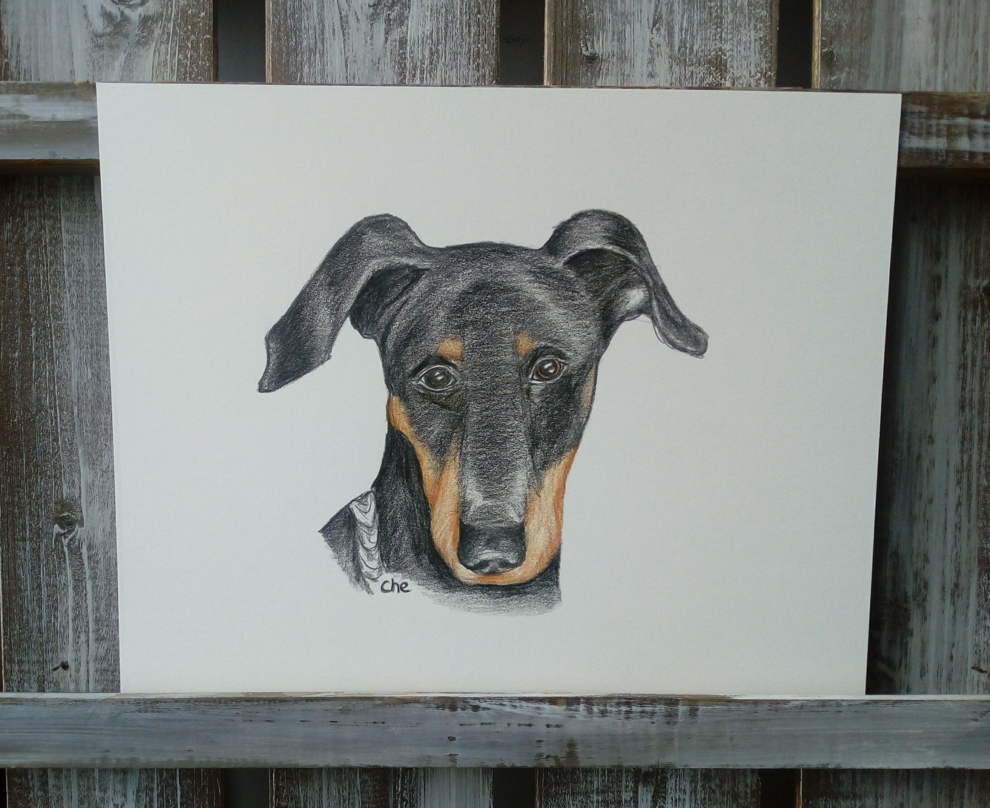 Pet Pencil Portraits image 8