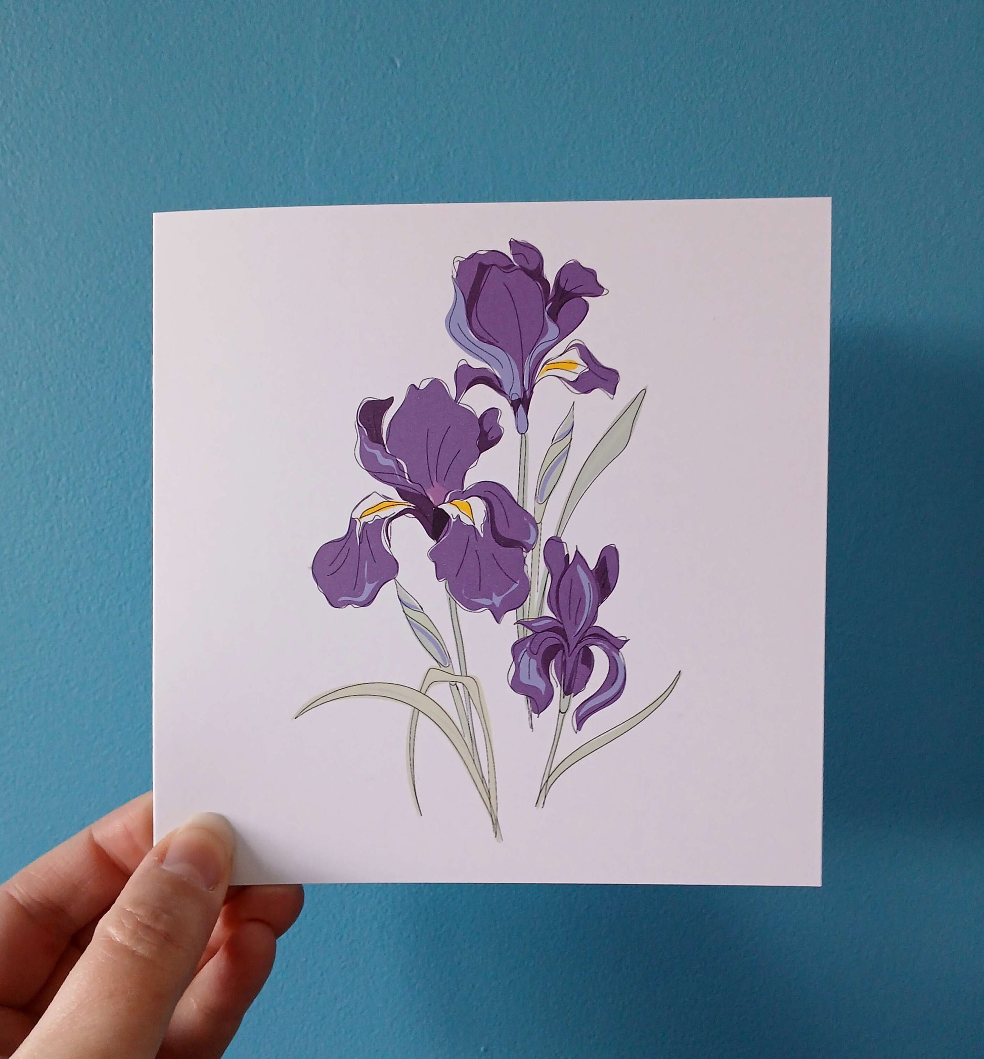 Iris Flower Print & Card image 3