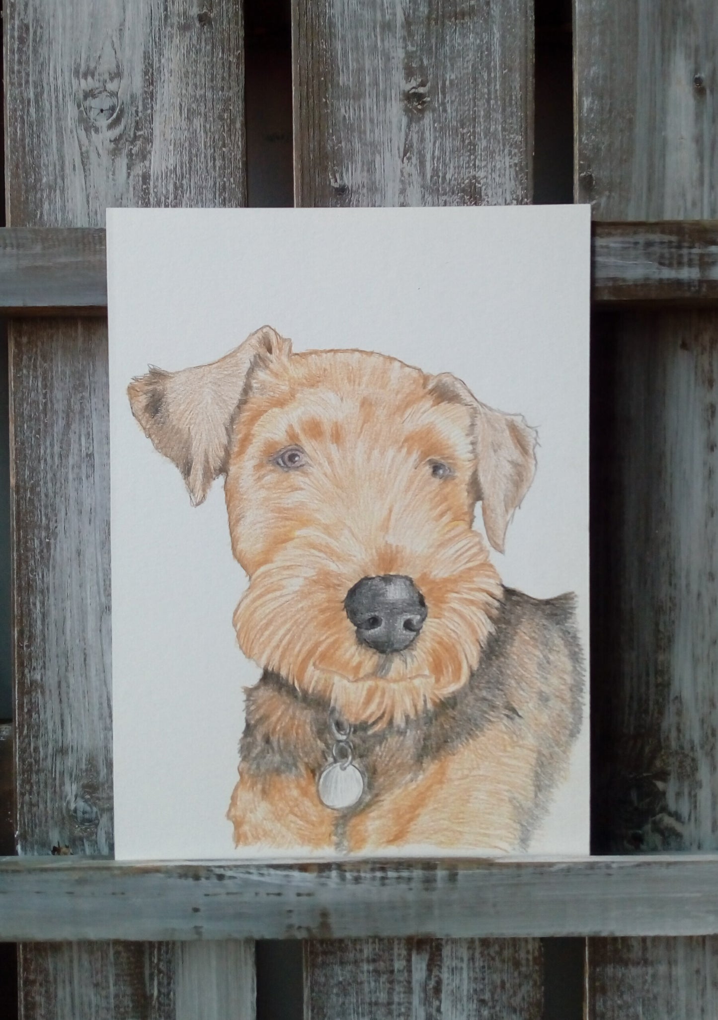 Pet Pencil Portraits image 9