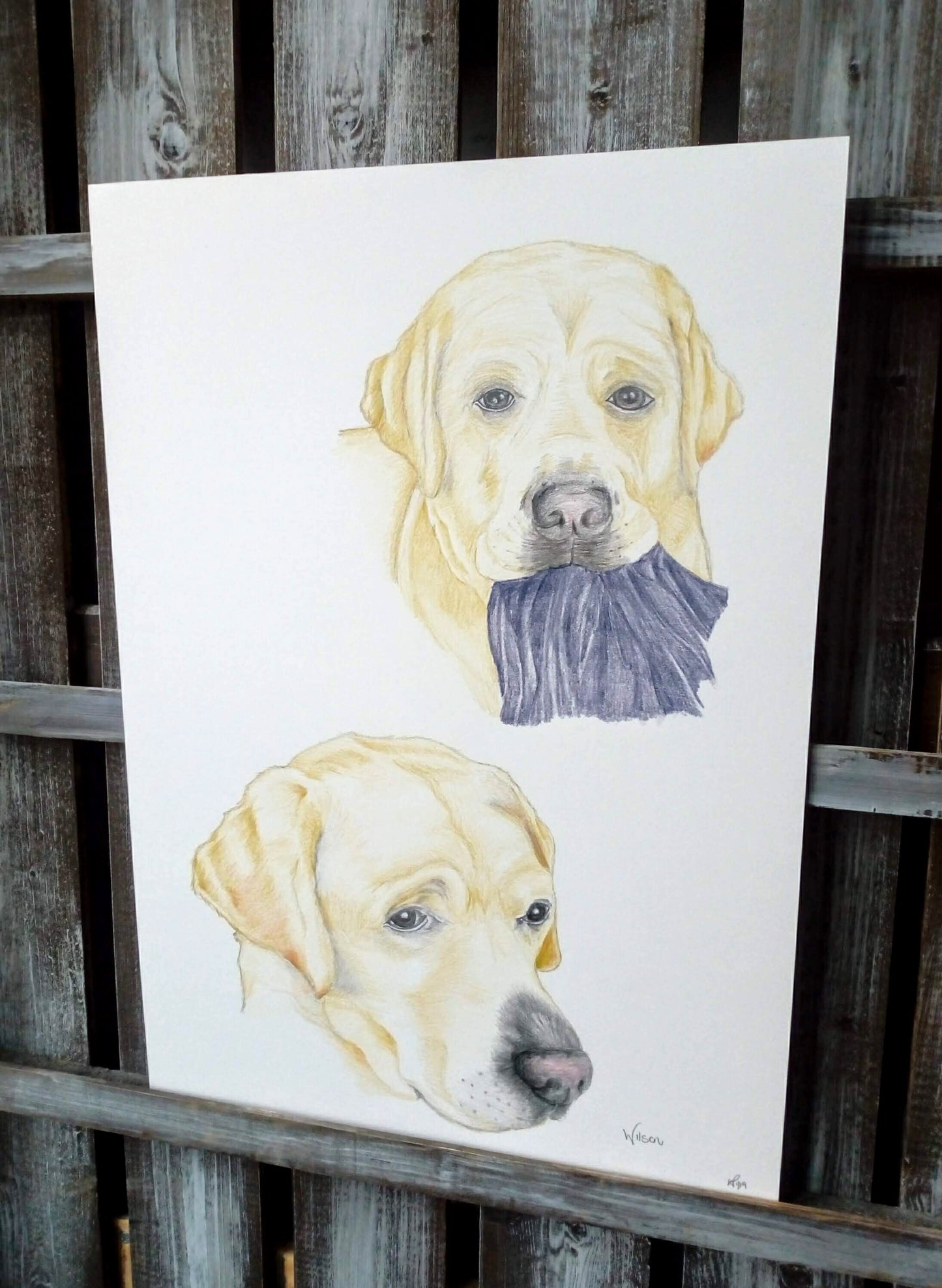 Pet Pencil Portraits image 4